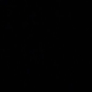 Meet your Posher, Nabil